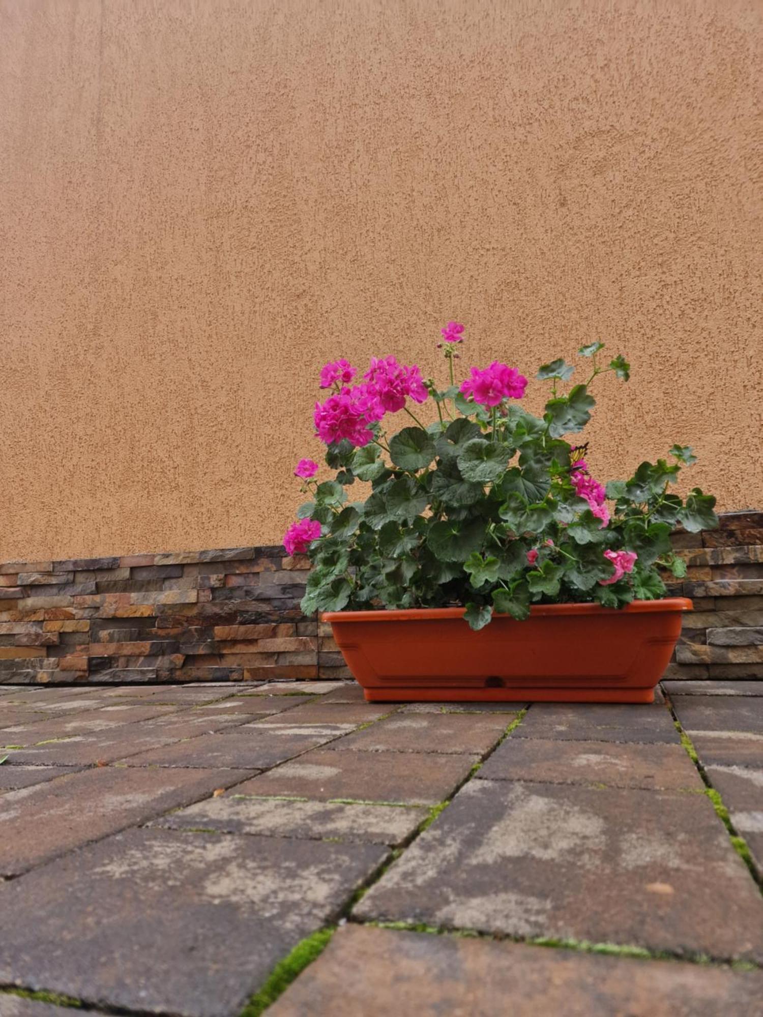 Casa Darya-24h Check-in